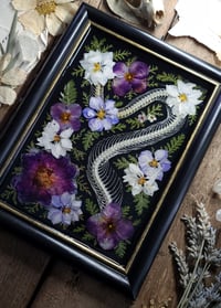 Image 2 of Snake Spine and Purple Floral Wall Frame