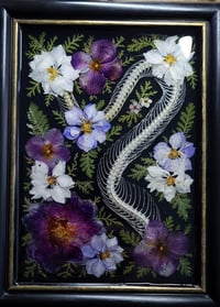 Image 3 of Snake Spine and Purple Floral Wall Frame