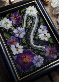 Image 4 of Snake Spine and Purple Floral Wall Frame