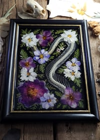 Image 5 of Snake Spine and Purple Floral Wall Frame