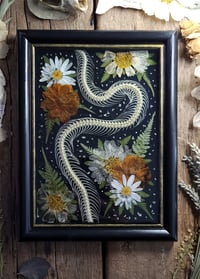 Image 1 of Snake Spine and Orange Floral Wall Frame