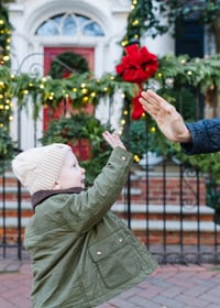 DECEMBER: Family or Maternity Session