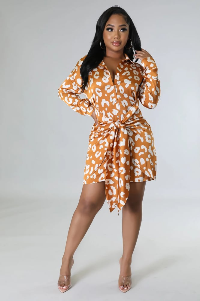 Image of PEBBLES DRESS
