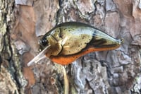 Image 4 of Custom Airbrushed S-CRANK 1.5 Squarebill Crankbait 3661