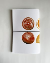 Image 2 of 'Citrus' Sketchbook