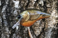 Image 1 of Custom Airbrushed S-CRANK 1.5 Squarebill Crankbait  7802