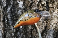 Image 3 of Custom Airbrushed S-CRANK 1.5 Squarebill Crankbait  7802