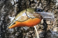 Image 5 of Custom Airbrushed S-CRANK 1.5 Squarebill Crankbait  7802