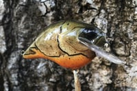 Image 2 of Custom Airbrushed S-CRANK 1.5 Squarebill Crankbait  7802