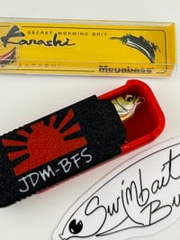 Image 1 of Micro BFS case 