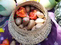 Image 3 of Nightime Pumpkin basket 