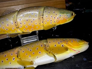 Image of 10.5” Cali Girl 4 Piece (Brown Trout)