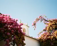 Image 4 of CANON PRIMA AF-9S