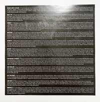 Image 4 of Squarecrow - Before The Sun Catches Us All - 12" Vinyl