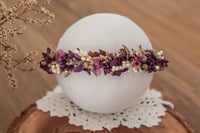 Newborn/Sitter Halo 248