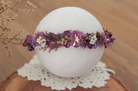 Newborn/Sitter Halo 250