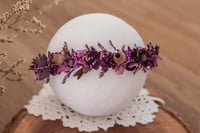 Newborn/Sitter Halo 253