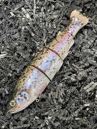 Image 2 of Immortal Trout 7.7 “Royal Trout”
