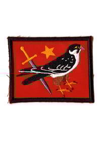 FALCON PATCH