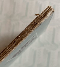 Image 3 of Vintage King Penguin book British Shells