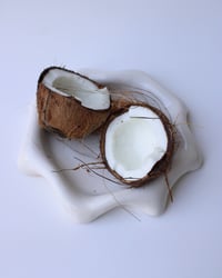 Image 1 of Calla - Folded Plate