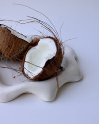 Image 4 of Calla - Folded Plate