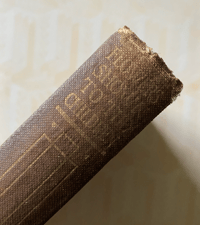 Image 4 of Flowers Shown to the Children