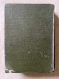 Image 8 of Flowers Shown to the Children