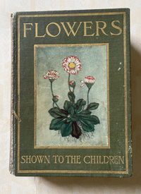 Image 1 of Flowers Shown to the Children