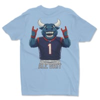 Image 8 of Houston Texan Toro