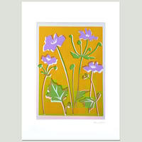 Image 4 of Lilac Anemones