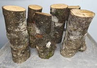 Additional Oyster Log - Any Workshop