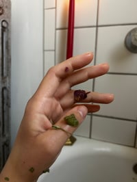 Image 2 of Baño de Rosa 