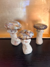 Image 1 of Clay mushrooms
