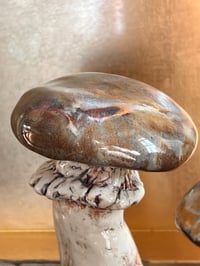 Image 2 of Clay mushrooms