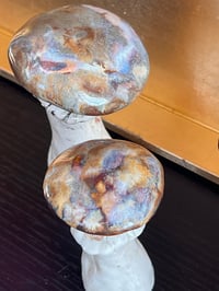 Image 3 of Clay mushrooms