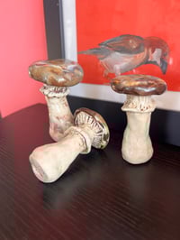 Image 5 of Clay mushrooms