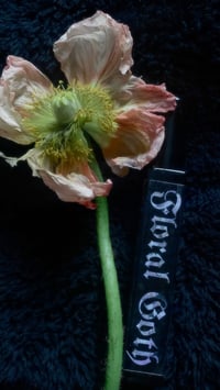 Image 1 of ❦ 𝔉𝔩𝔬𝔯𝔞𝔩 𝔊𝔬𝔱𝔥 ❦ Eau De Parfum 10ml