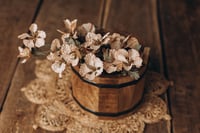 Image 2 of Set Parisa