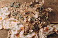 Image 4 of Set Parisa