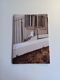 Image 1 of Edition "Pour une dent", Charles Poirier 