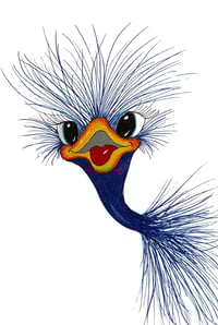 The Quirky Bird (Digital)