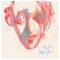 Image 1 of Seen Right Through - Soft Pastels on Paper 