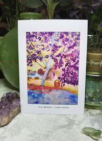 Image 1 of Peruvian litter bin postcard (set 6)