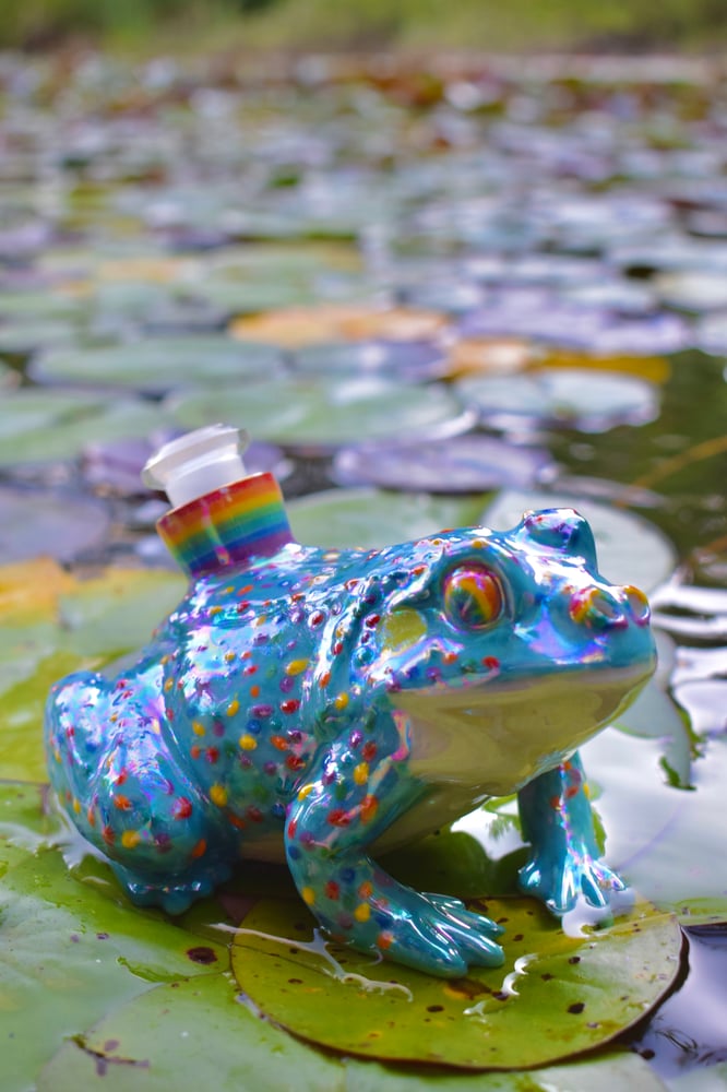 Image of Rainbow Frog #2