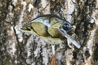 Image 2 of Custom Airbrushed S-CRANK 1.5 Squarebill Crankbait 1121