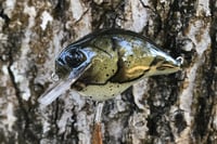 Image 3 of Custom Airbrushed S-CRANK 1.5 Squarebill Crankbait 1121