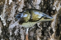 Image 5 of Custom Airbrushed S-CRANK 1.5 Squarebill Crankbait 1121