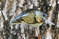 Image 4 of Custom Airbrushed S-CRANK 1.5 Squarebill Crankbait 1121