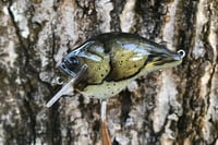 Image 6 of Custom Airbrushed S-CRANK 1.5 Squarebill Crankbait 1121